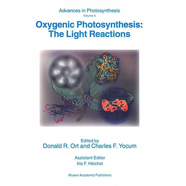 Oxygenic Photosynthesis: The Light Reactions / Advances in Photosynthesis and Respiration Bd.4