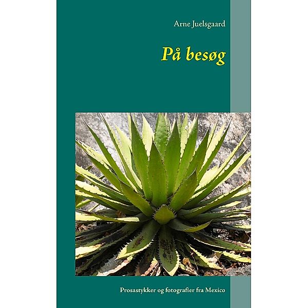 På besøg, Arne Juelsgaard