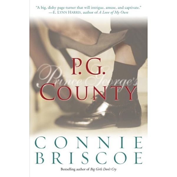 P. G. County / P.G. County Series Bd.1, Connie Briscoe