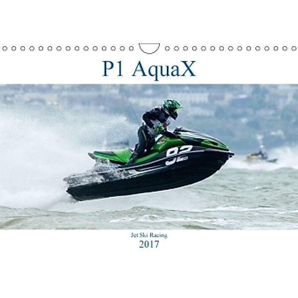 P1 AquaX (Wall Calendar 2017 DIN A4 Landscape), Terry Hewlett
