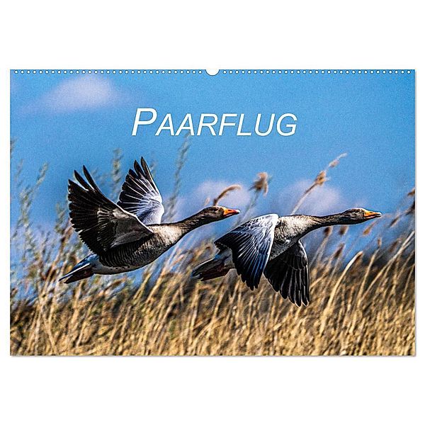 Paarflug (Wandkalender 2024 DIN A2 quer), CALVENDO Monatskalender, Bruno Pohl