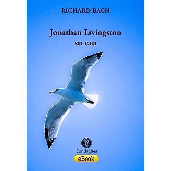 paberiles: Jonathan Livingston su cau, Richard Bach
