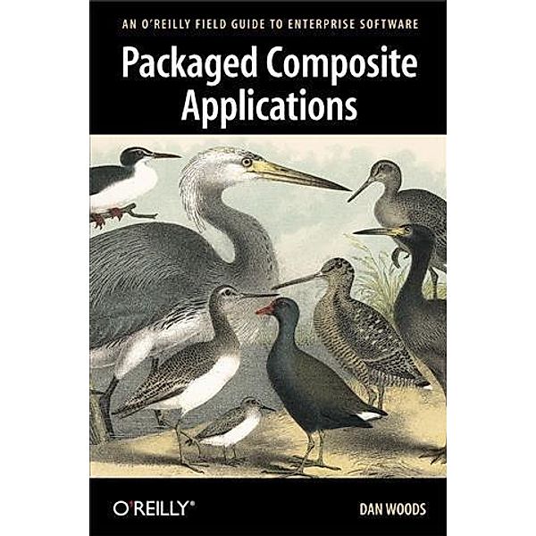Packaged Composite Applications, Dan Woods