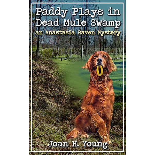 Paddy Plays in Dead Mule Swamp / Joan H. Young, Joan H. Young