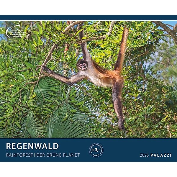 PALAZZI - Regenwald 2025 Wandkalender, 60x50cm, Posterkalender mit majestätischen Aufnahmen aus der grünen Wildnis, hochwertige Fotografie, eine Reise in die Tropen, internationales Kalendarium