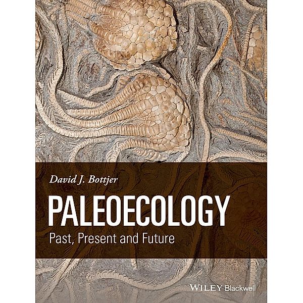 Paleoecology, David J. Bottjer