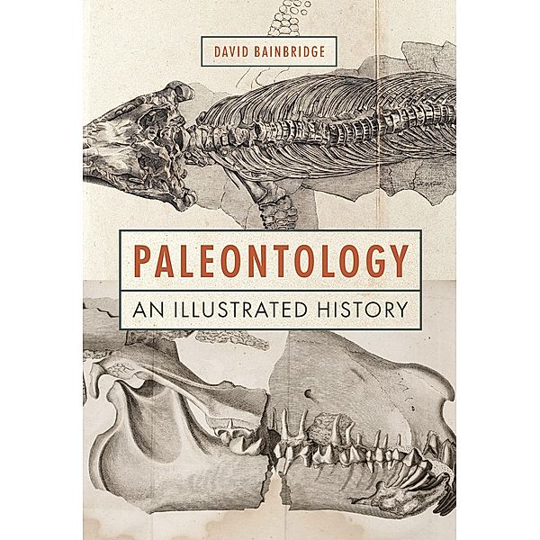 Paleontology, David Bainbridge