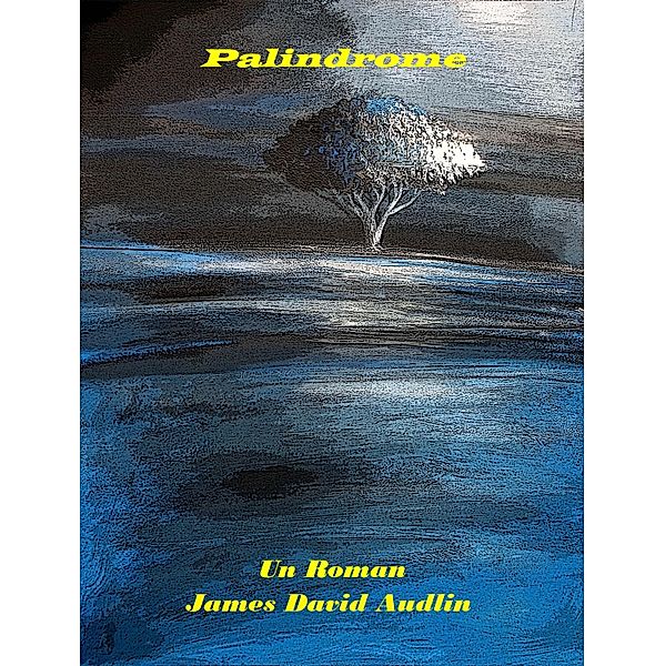 Palindrome, James David Audlin