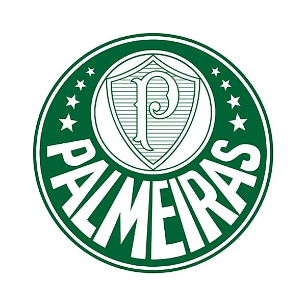 Palmeiras - A História, Danniel Silva