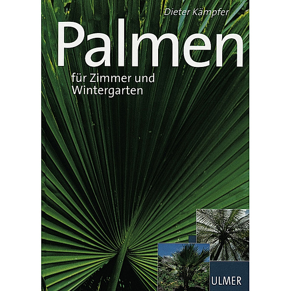 Palmen, Dieter Kämpfer