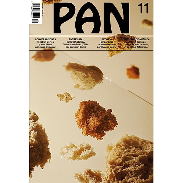 PAN 11 / PAN Bd.11, Vv. Aa.