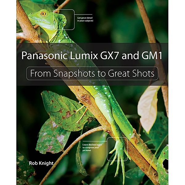 Panasonic Lumix GX7 and GM1 / From Snapshots to Great Shots, Knight Rob