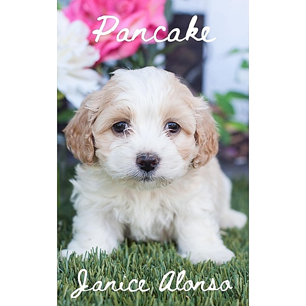 Pancake (Devotionals, #94) / Devotionals, Janice Alonso