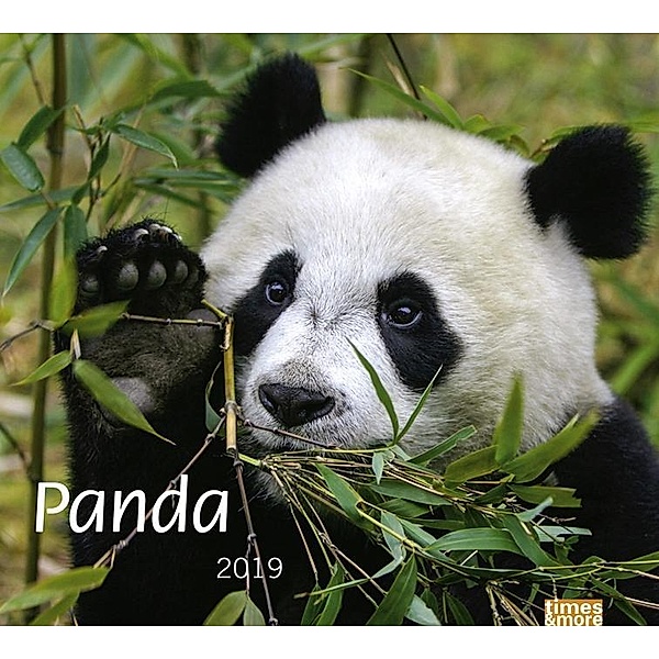 Panda 2019