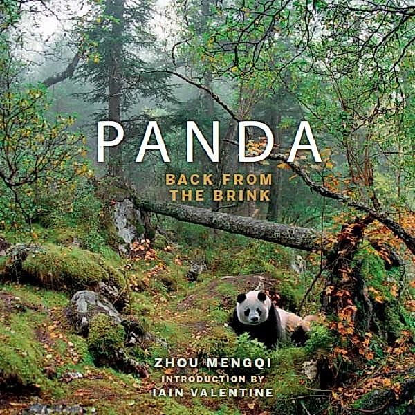 Panda: Back from the Brink / Saraband, Zhou Mengqi