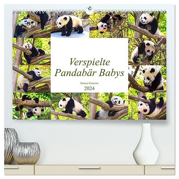 Pandabär Babys (hochwertiger Premium Wandkalender 2024 DIN A2 quer), Kunstdruck in Hochglanz, Simone Gatterwe