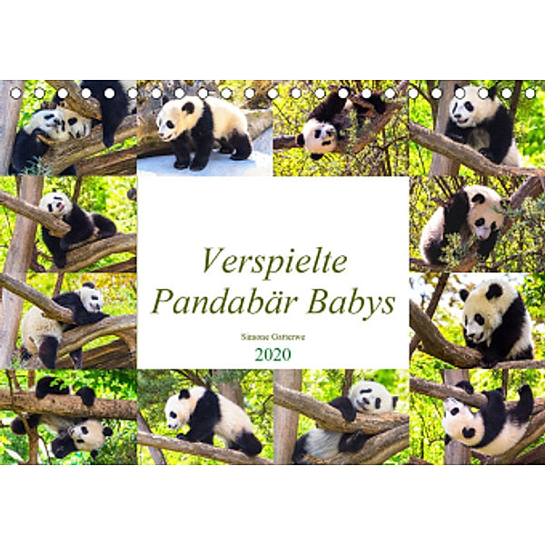 Pandabär Babys (Tischkalender 2020 DIN A5 quer), Simone Gatterwe