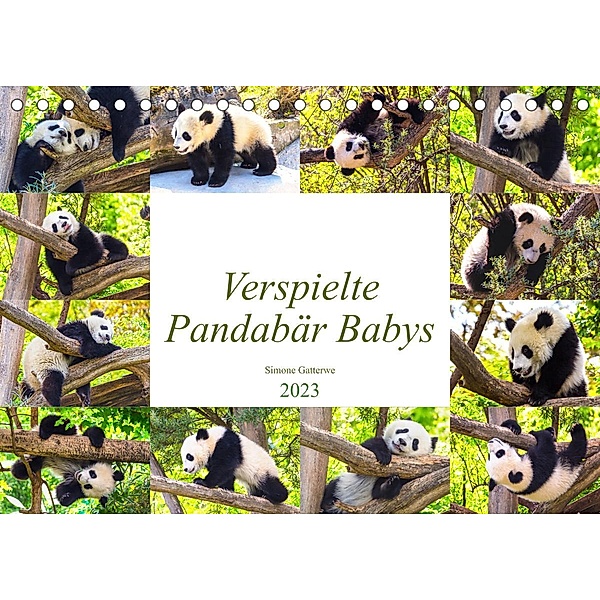 Pandabär Babys (Tischkalender 2023 DIN A5 quer), Simone Gatterwe