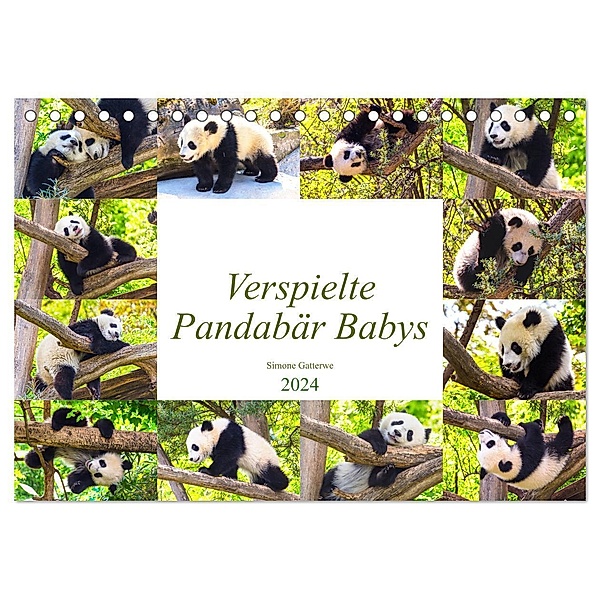 Pandabär Babys (Tischkalender 2024 DIN A5 quer), CALVENDO Monatskalender, Simone Gatterwe
