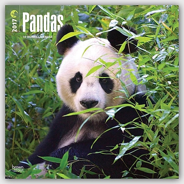 Pandas 2017