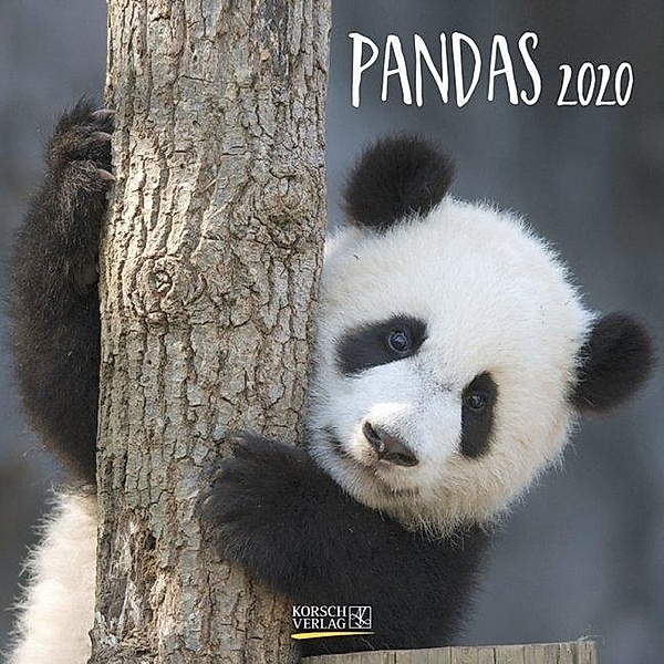Pandas 2020