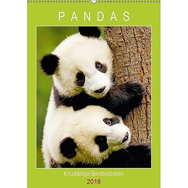Pandas: Knuddelige Bambusbären (Wandkalender 2018 DIN A2 hoch), Calvendo