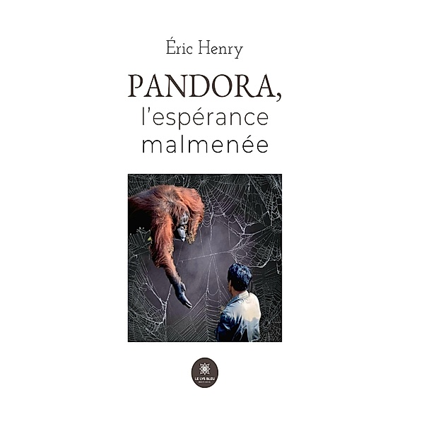 Pandora, l'espérance malmenée, Éric Henry