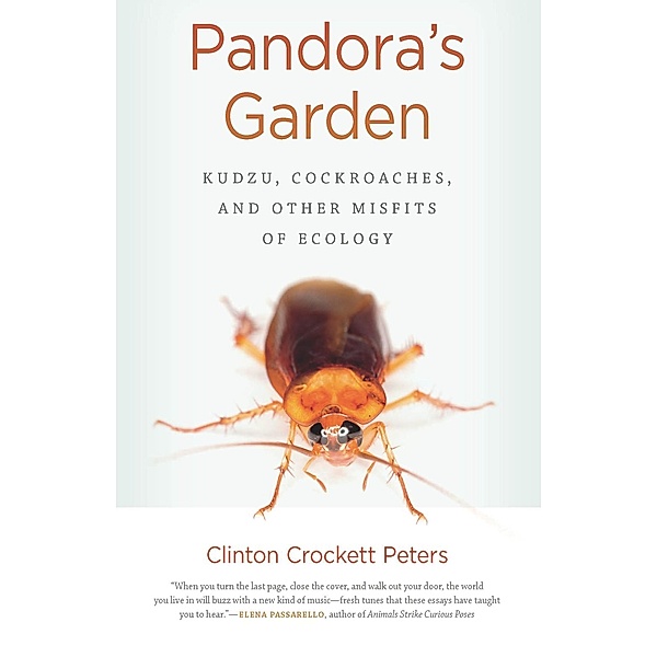 Pandora's Garden / Crux: The Georgia Series in Literary Nonfiction Ser., Clinton Crockett Peters