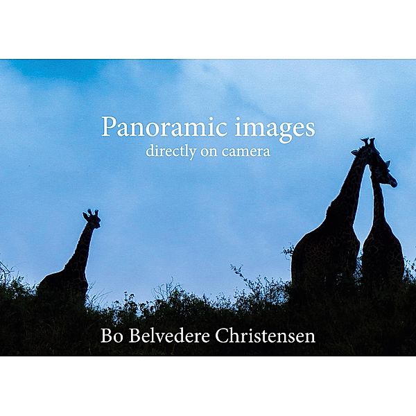 Panoramic images, Bo Belvedere Christensen