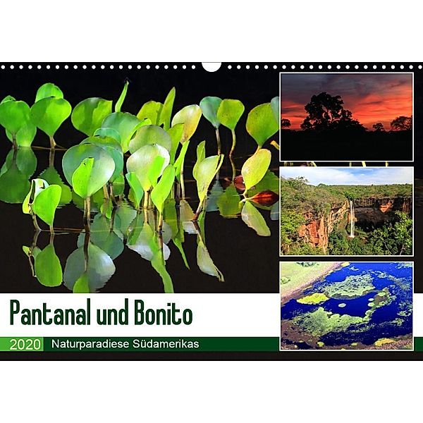 Pantanal und Bonito (Wandkalender 2020 DIN A3 quer), Yvonne Herzog