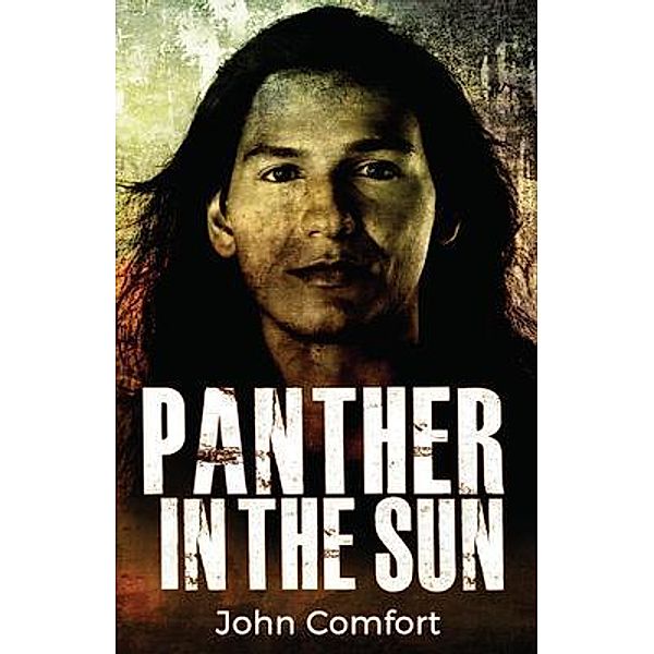 Panther in the Sun / bookgenesis press, John Comfort