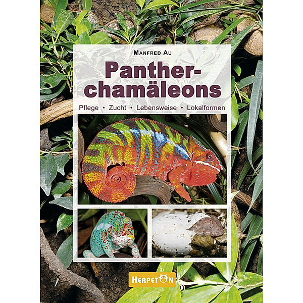 Pantherchamäleons, Manfred Au