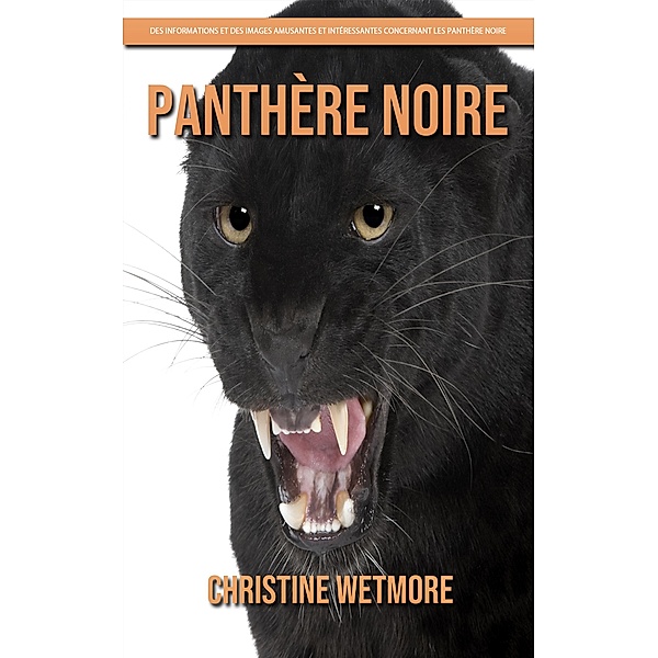 Panthère Noire - Des Informations et des Images Amusantes et Intéressantes concernant les Panthère Noire, Christine Wetmore