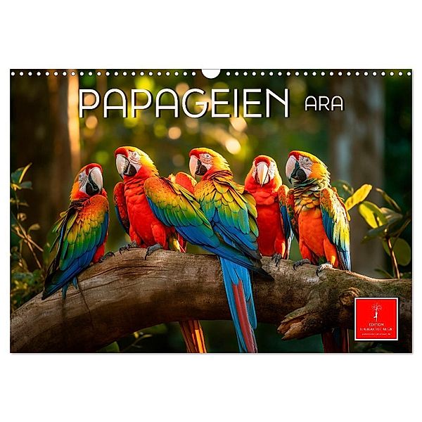 Papageien - Ara (Wandkalender 2024 DIN A3 quer), CALVENDO Monatskalender, Peter Roder