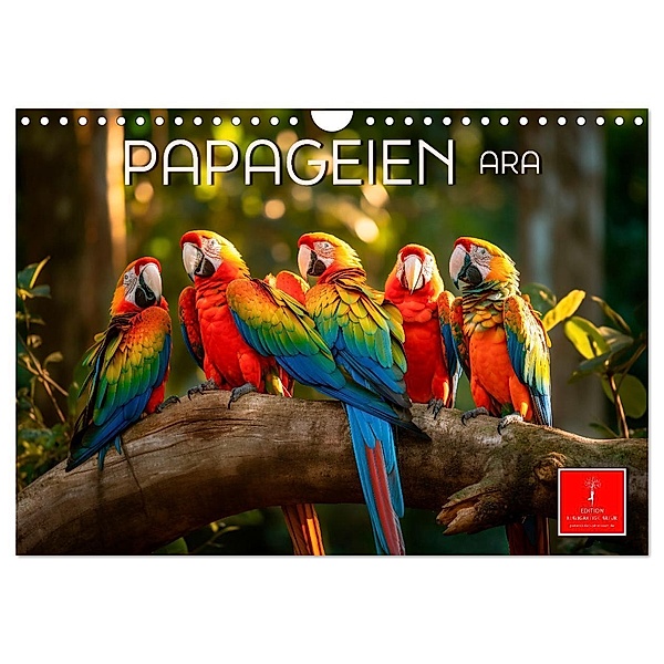 Papageien - Ara (Wandkalender 2024 DIN A4 quer), CALVENDO Monatskalender, Peter Roder