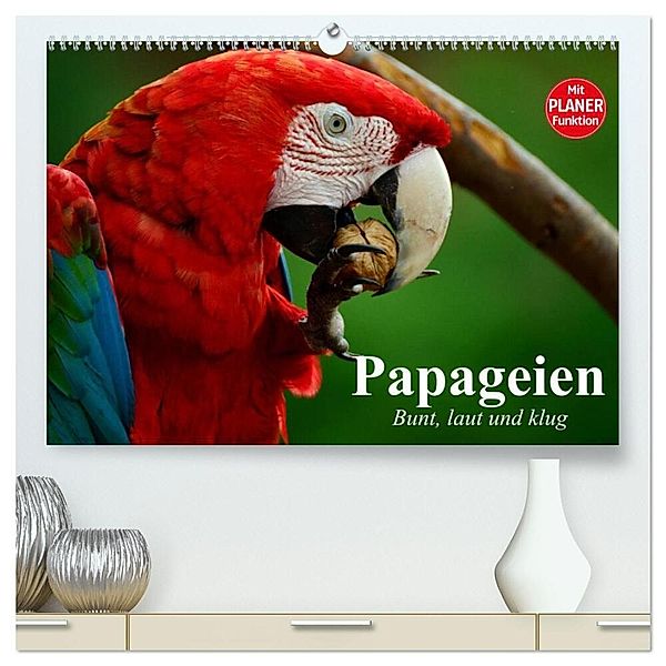 Papageien. Bunt, laut und klug (hochwertiger Premium Wandkalender 2024 DIN A2 quer), Kunstdruck in Hochglanz, Elisabeth Stanzer