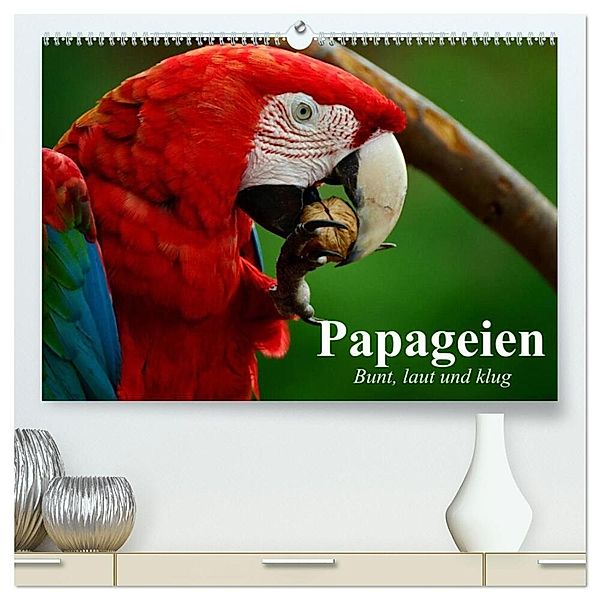 Papageien. Bunt, laut und klug (hochwertiger Premium Wandkalender 2025 DIN A2 quer), Kunstdruck in Hochglanz, Calvendo, Elisabeth Stanzer