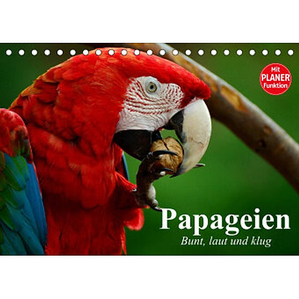 Papageien. Bunt, laut und klug (Tischkalender 2022 DIN A5 quer), Elisabeth Stanzer