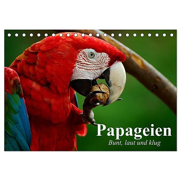 Papageien. Bunt, laut und klug (Tischkalender 2024 DIN A5 quer), CALVENDO Monatskalender, Elisabeth Stanzer