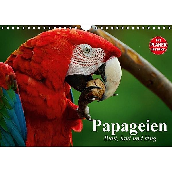 Papageien. Bunt, laut und klug (Wandkalender 2017 DIN A4 quer), Elisabeth Stanzer