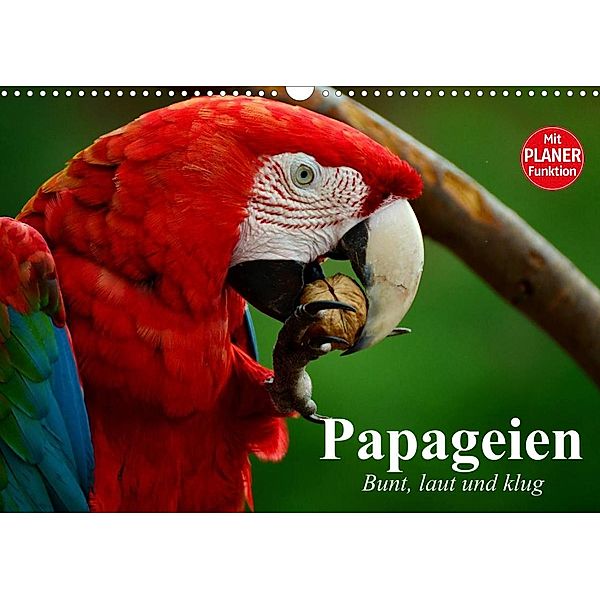 Papageien. Bunt, laut und klug (Wandkalender 2023 DIN A3 quer), Elisabeth Stanzer