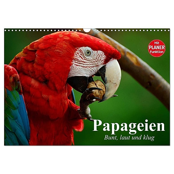 Papageien. Bunt, laut und klug (Wandkalender 2024 DIN A3 quer), CALVENDO Monatskalender, Elisabeth Stanzer