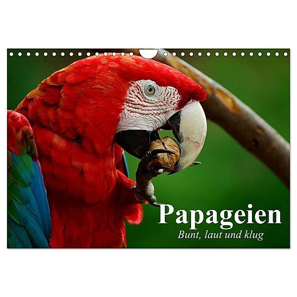 Papageien. Bunt, laut und klug (Wandkalender 2024 DIN A4 quer), CALVENDO Monatskalender, Elisabeth Stanzer