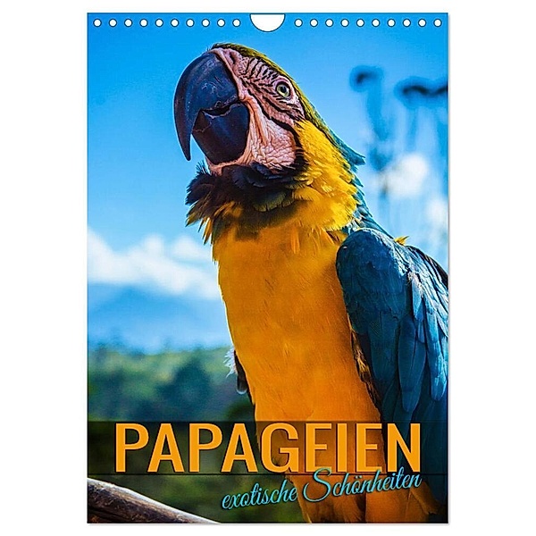 Papageien - exotische Schönheiten (Wandkalender 2024 DIN A4 hoch), CALVENDO Monatskalender, Renate Utz