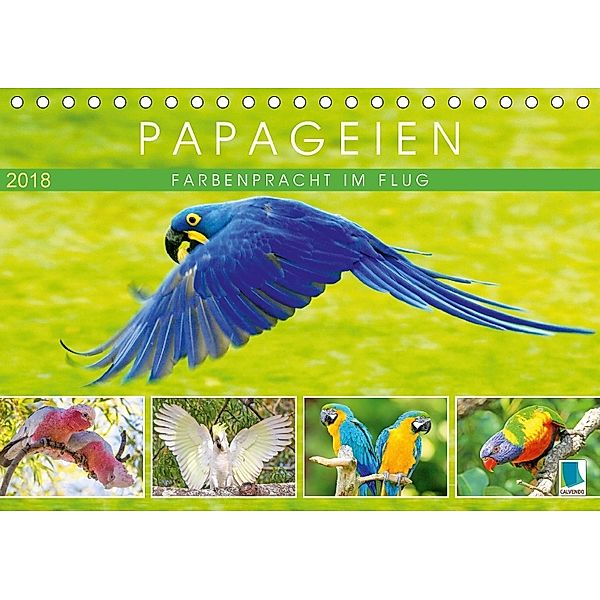 Papageien: Farbenpracht im Flug (Tischkalender 2018 DIN A5 quer), CALVENDO