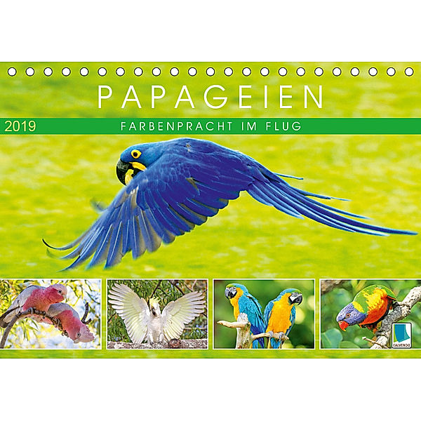 Papageien: Farbenpracht im Flug (Tischkalender 2019 DIN A5 quer), Calvendo