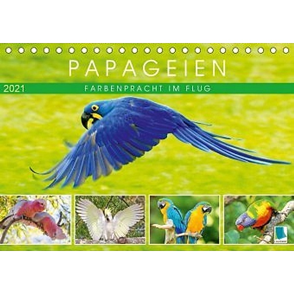 Papageien: Farbenpracht im Flug (Tischkalender 2021 DIN A5 quer)