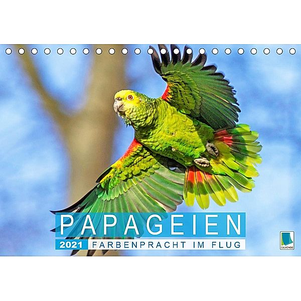 Papageien: Farbenpracht im Flug (Tischkalender 2021 DIN A5 quer), Calvendo