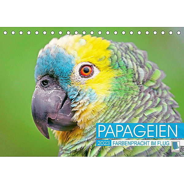 Papageien: Farbenpracht im Flug (Tischkalender 2023 DIN A5 quer), Calvendo