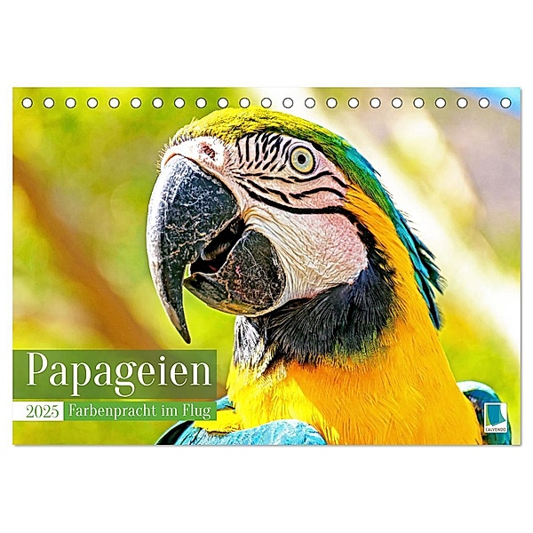 Papageien: Farbenpracht im Flug (Tischkalender 2025 DIN A5 quer), CALVENDO Monatskalender, Calvendo
